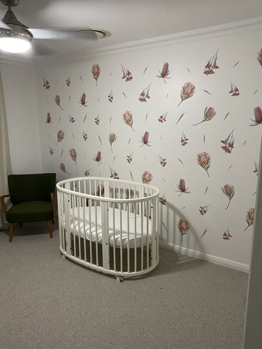 Customer photo review of Australian Native Flowers Decal set