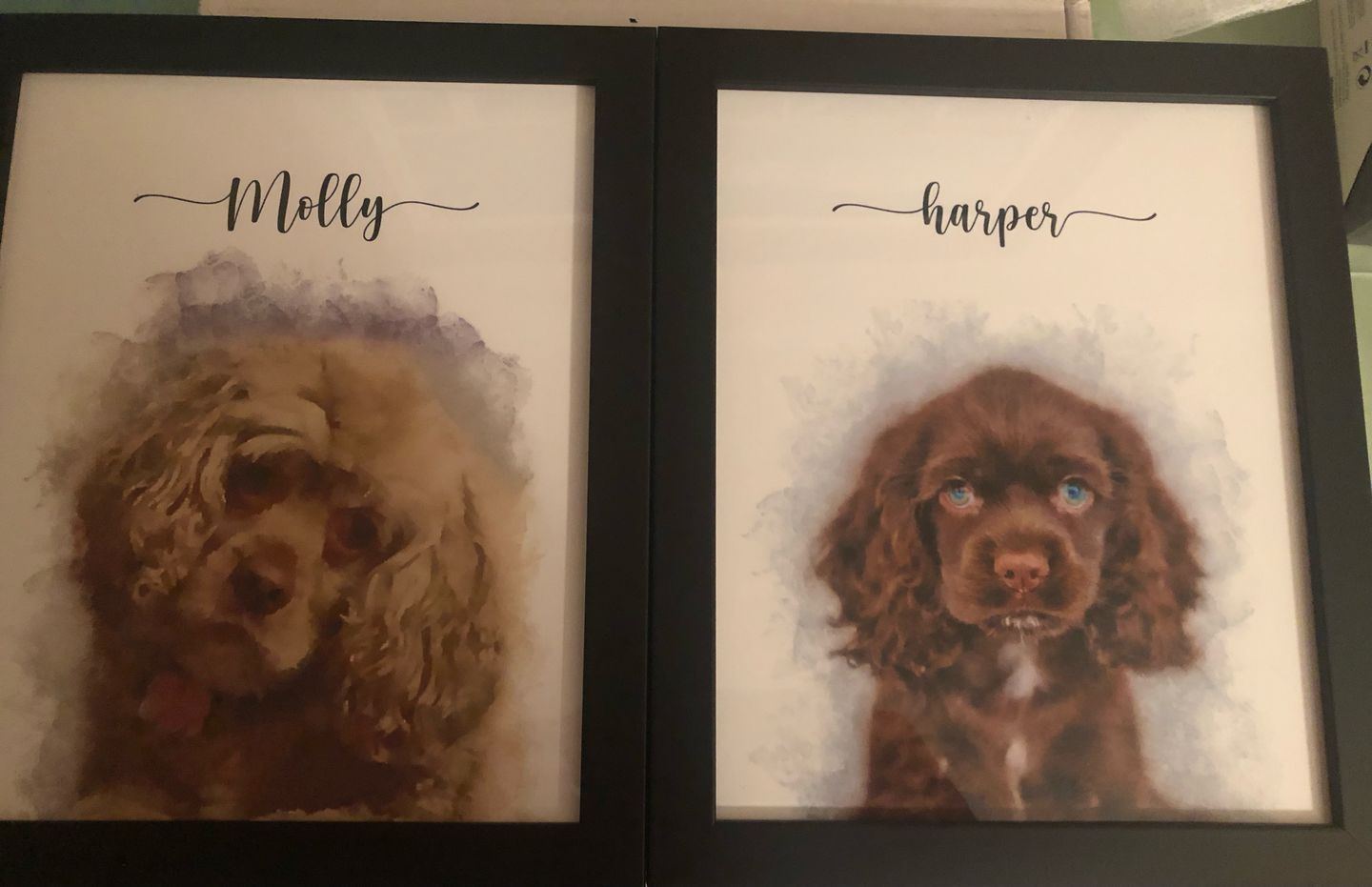 Customer photo review of Custom Pet Portrait