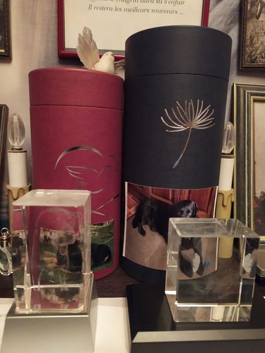 Customer photo review of Alarme de poche anti-agression SecurityLife