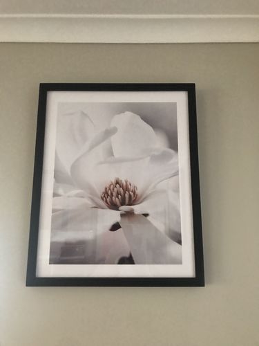 Customer photo review of White Magnolia I