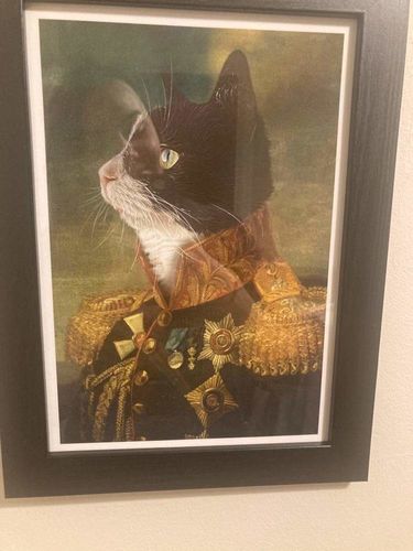 Customer photo review of The General - Custom Vintage Pet Portrait