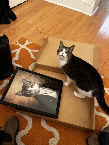 Customer photo review of The Baron - Custom Vintage Pet Portrait