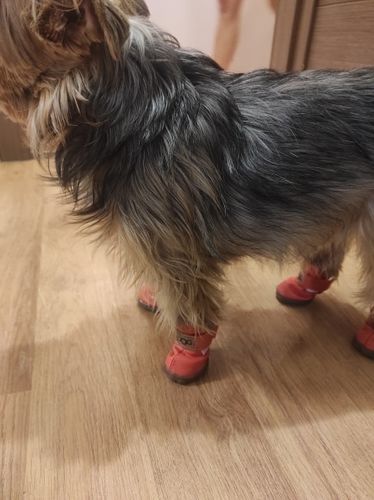 Customer photo review of Scarpette Rosse