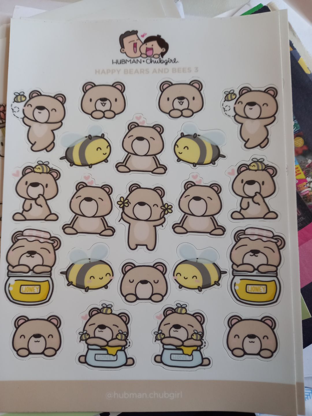 Customer photo review of Sticker Sheet - Happy Bears and Bees 3