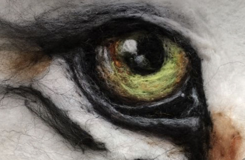 Customer photo review of 100% Wool Craft Felt By Yard