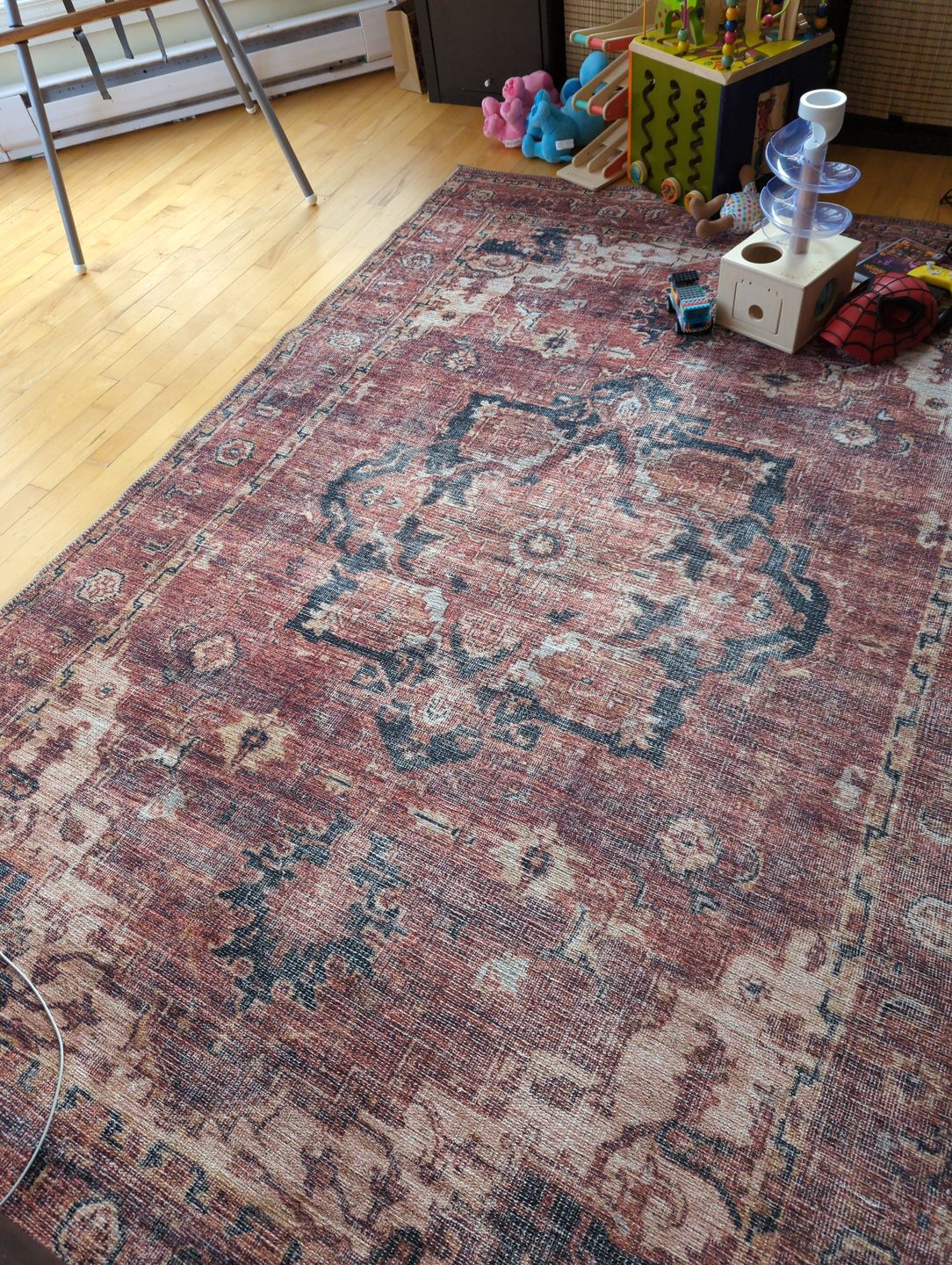 Customer photo review of Distressed Vintage Cezanne Terracotta Area Rug
