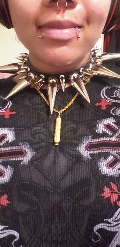 Customer photo review of Heavy Metal OG Collar