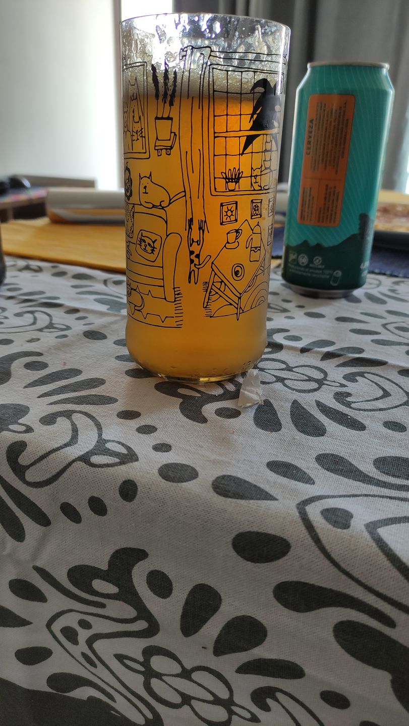 Customer photo review of Cat Lover Juego de 6 Vasos Gatunos 500ML