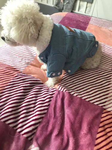 Customer photo review of Giacca Di Jeans Chiara