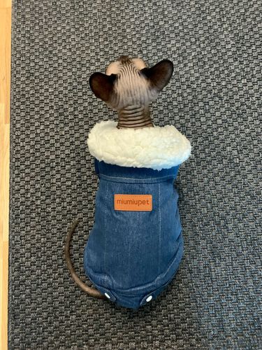 Customer photo review of Giacca Di Jeans Scura