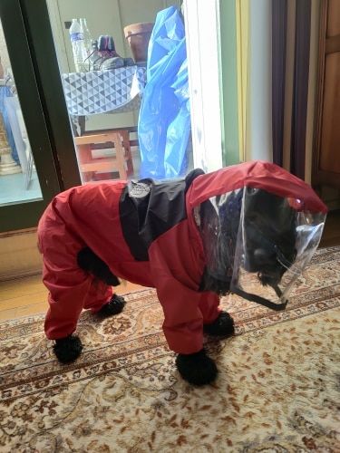 Customer photo review of Impermeabile "The Dog Face" Rosso
