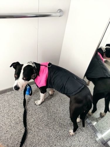 Customer photo review of Piumino Dettaglio Rosa