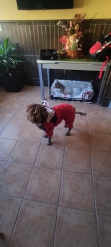 Customer photo review of Impermeabile "The Dog Face" Rosso