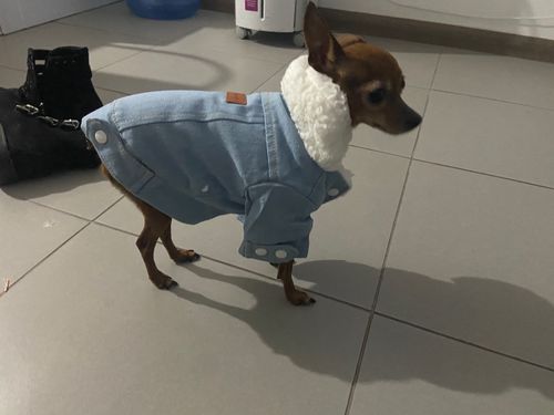 Customer photo review of Giacca Di Jeans Chiara