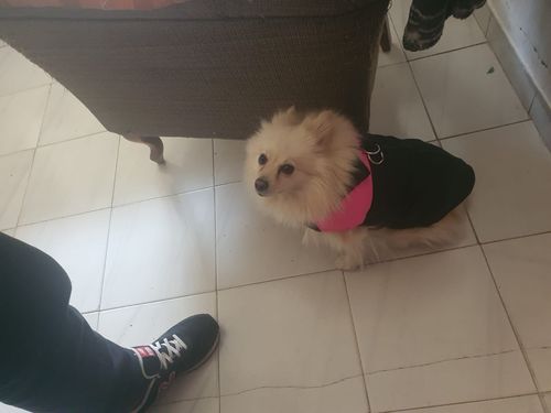 Customer photo review of Piumino Dettaglio Rosa