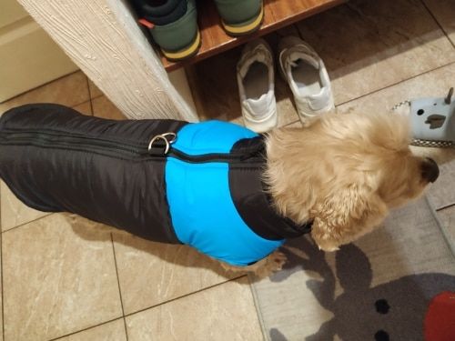 Customer photo review of Piumino Dettaglio Celeste