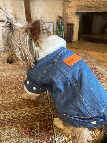 Customer photo review of Giacca Di Jeans Scura