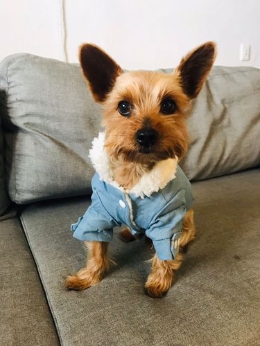 Customer photo review of Giacca Di Jeans Chiara