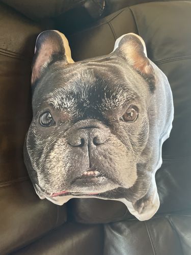 Customer photo review of Create A Custom Dog Pillow