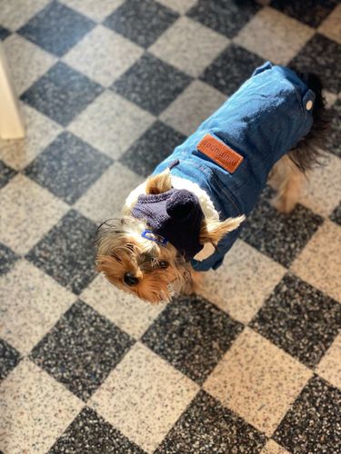 Customer photo review of Giacca Di Jeans Scura