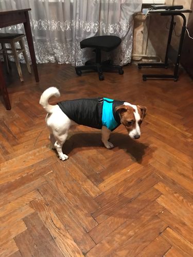 Customer photo review of Piumino Dettaglio Celeste