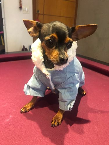 Customer photo review of Giacca Di Jeans Chiara