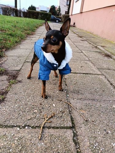 Customer photo review of Giacca Di Jeans Scura