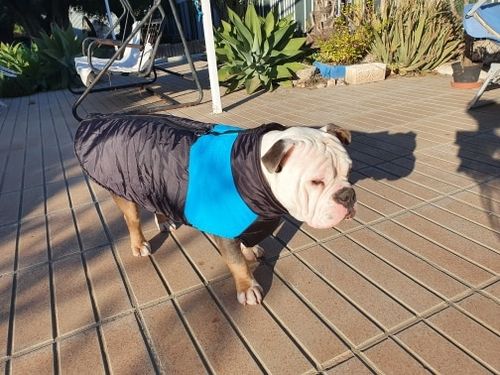 Customer photo review of Piumino Dettaglio Celeste