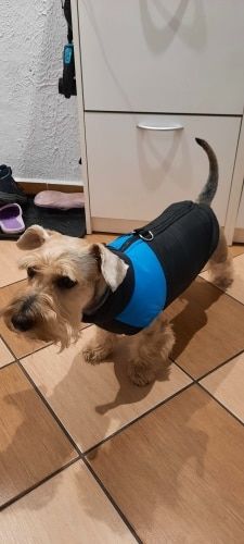 Customer photo review of Piumino Dettaglio Celeste