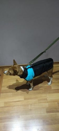 Customer photo review of Piumino Dettaglio Celeste