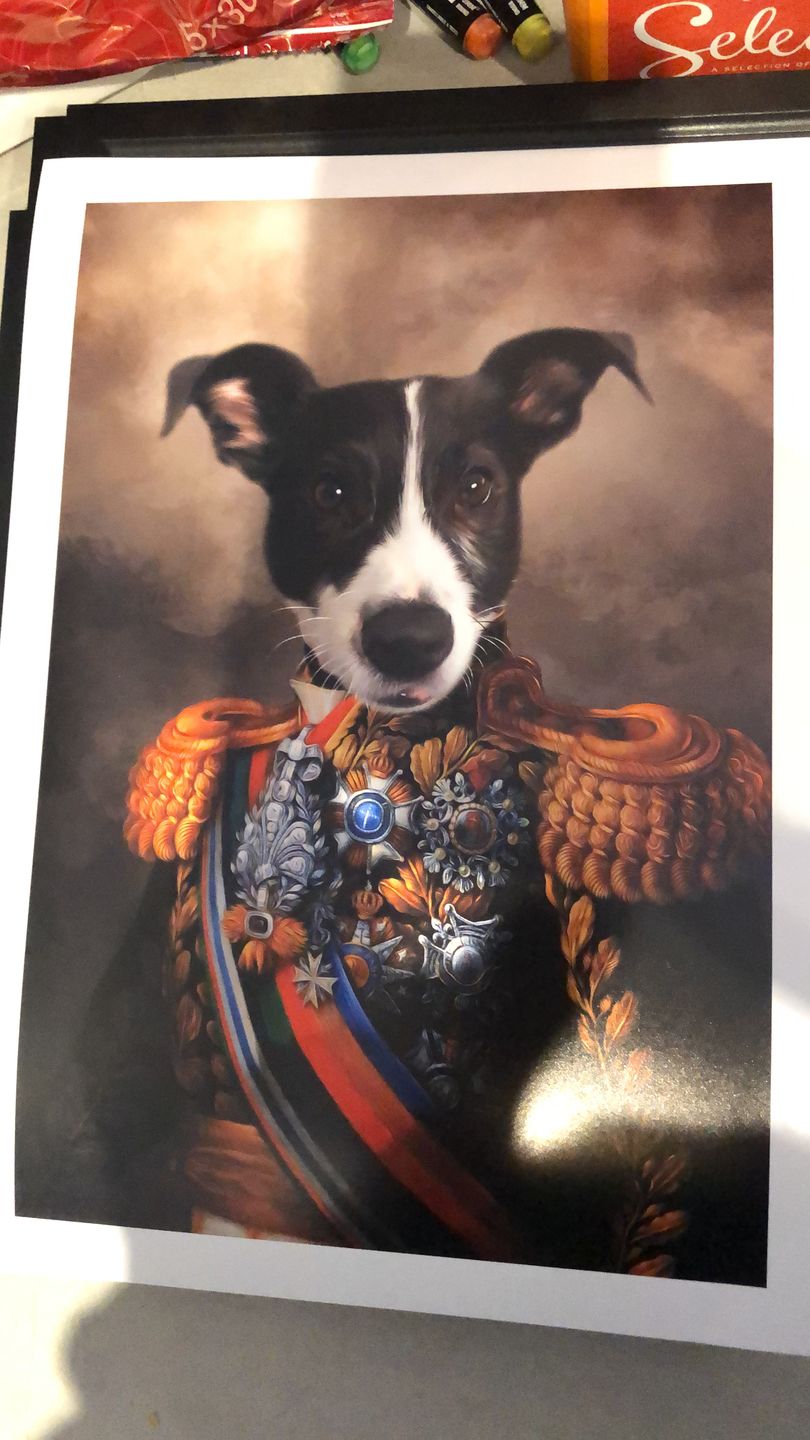Customer photo review of The First Lieutenant: Custom Pet Portrait