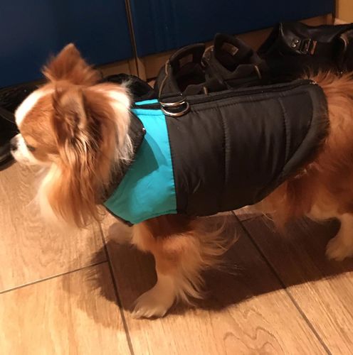 Customer photo review of Piumino Dettaglio Celeste