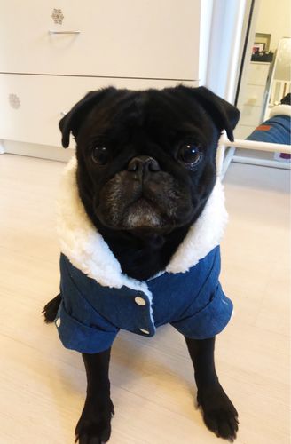 Customer photo review of Giacca Di Jeans Scura