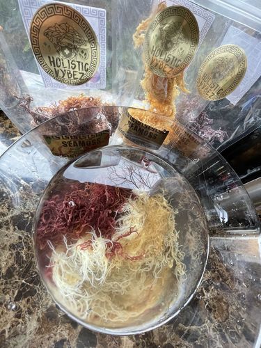 Customer photo review of The Raw Sea Moss Bundle