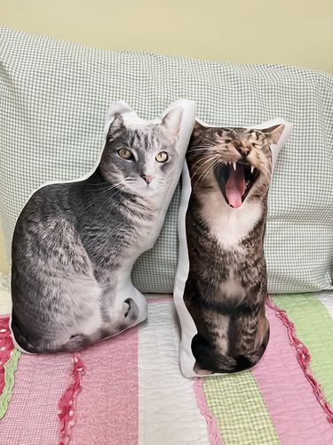 Customer photo review of Create A Custom Cat Pillow