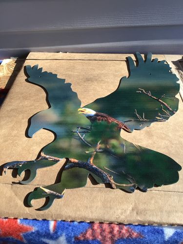 Customer photo review of Metal Eagle Imagery Sign