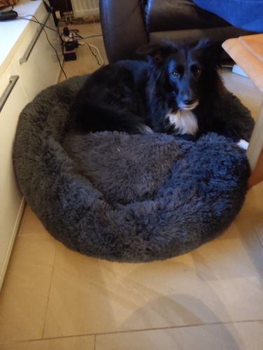 Customer photo review of Puppery Kuschelbett - Das Original