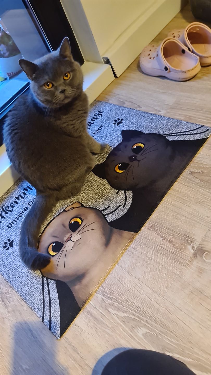Customer photo review of Bei mir Zuhause - Individuelle Fußmatte