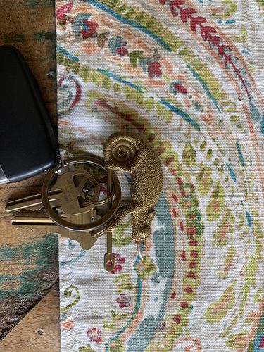 Customer photo review of Chameleon keychain | Brass & 925 sterling silver