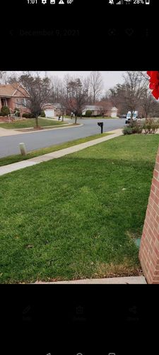 Customer photo review of 18-0-1 GreenePunch