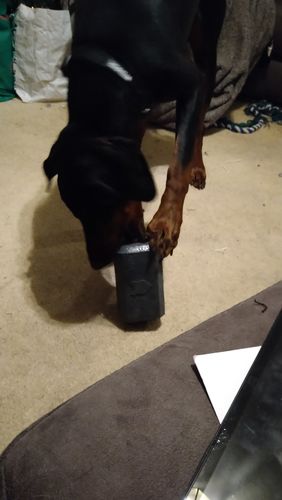 Customer photo review of The Fenrir Hammer