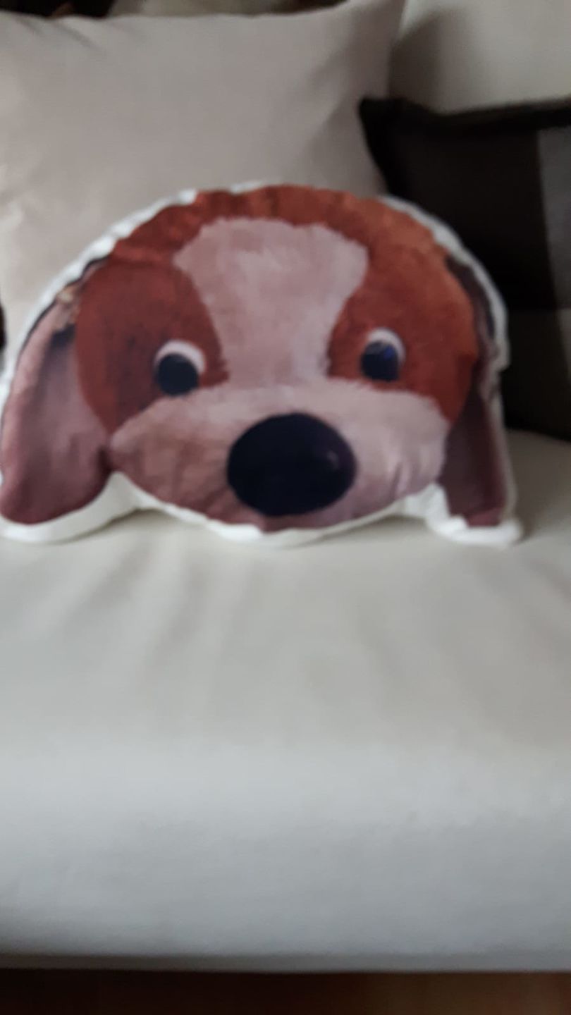 Customer photo review of Personalisiertes Tiergesichterkissen