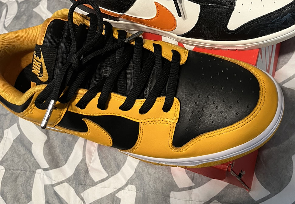 Customer photo review of Thick Oval Shoe Laces (Nike SB Laces)