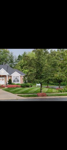 Customer photo review of Cool Season Lawn Care Guide