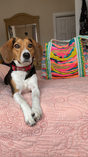 Customer photo review of Daphne Embellished Multi-colored Hand Beaded Tote