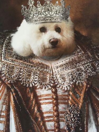 Customer photo review of The Queen - Custom Vintage Pet Portrait