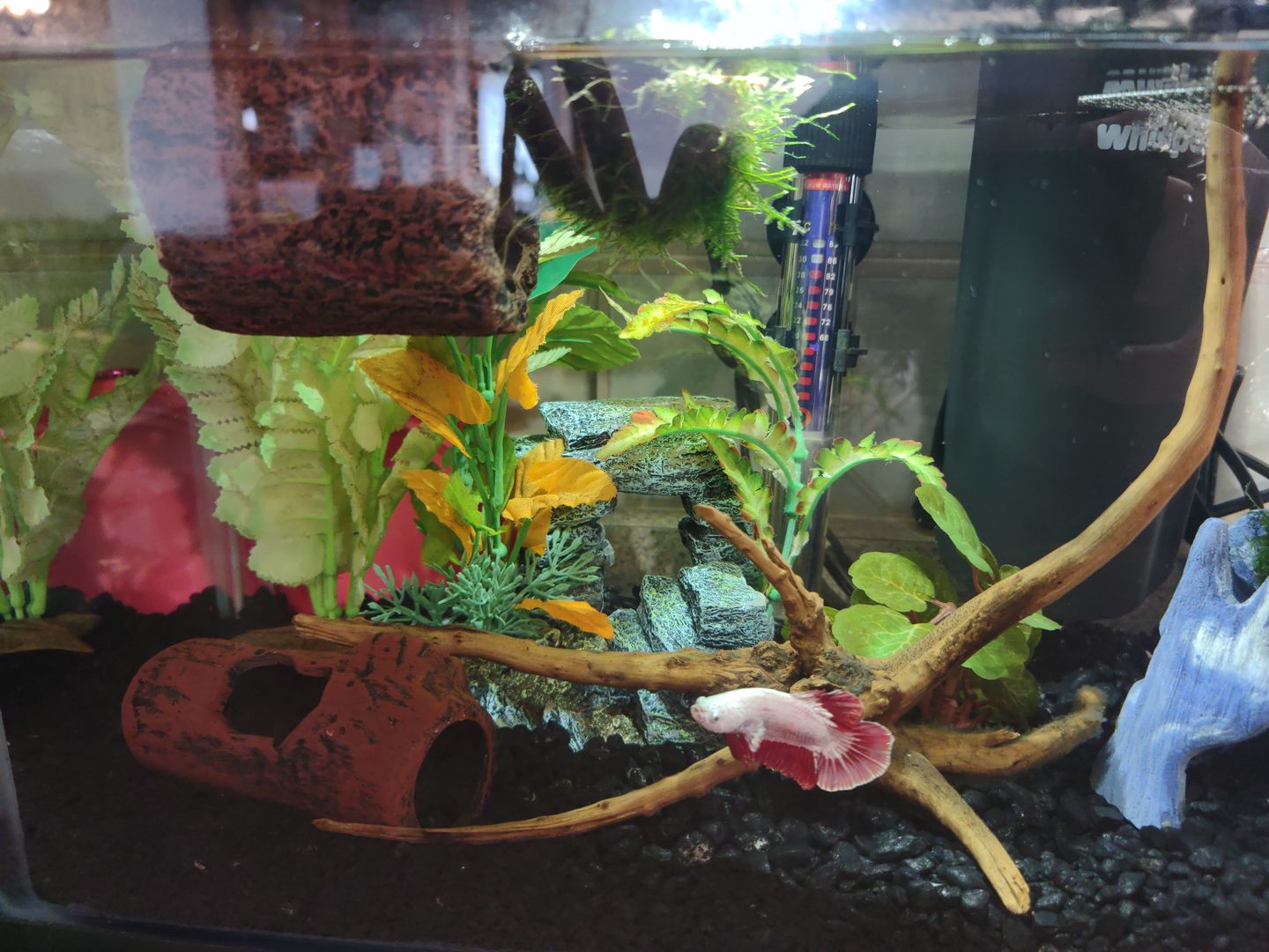 Customer photo review of Fritz A+ Aquarium Salt