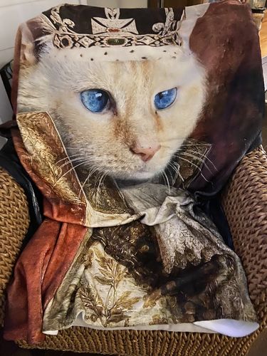 Customer photo review of The King - Custom Pet Blanket