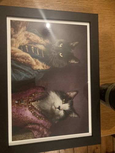 Customer photo review of The Count & The Countess  – Custom Vintage Pet Portrait