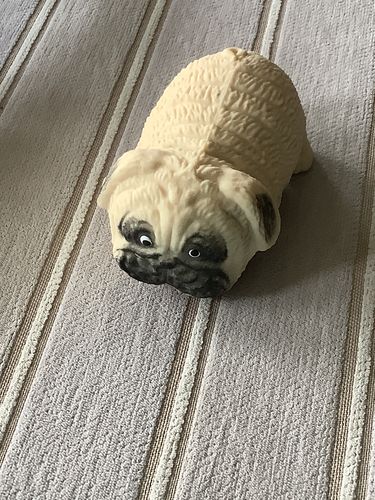 Customer photo review of Stretchy Pug